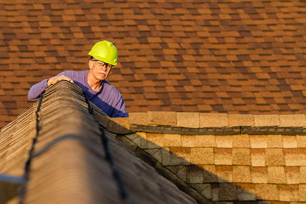 Best Roof Gutter Cleaning  in Nixon, PA